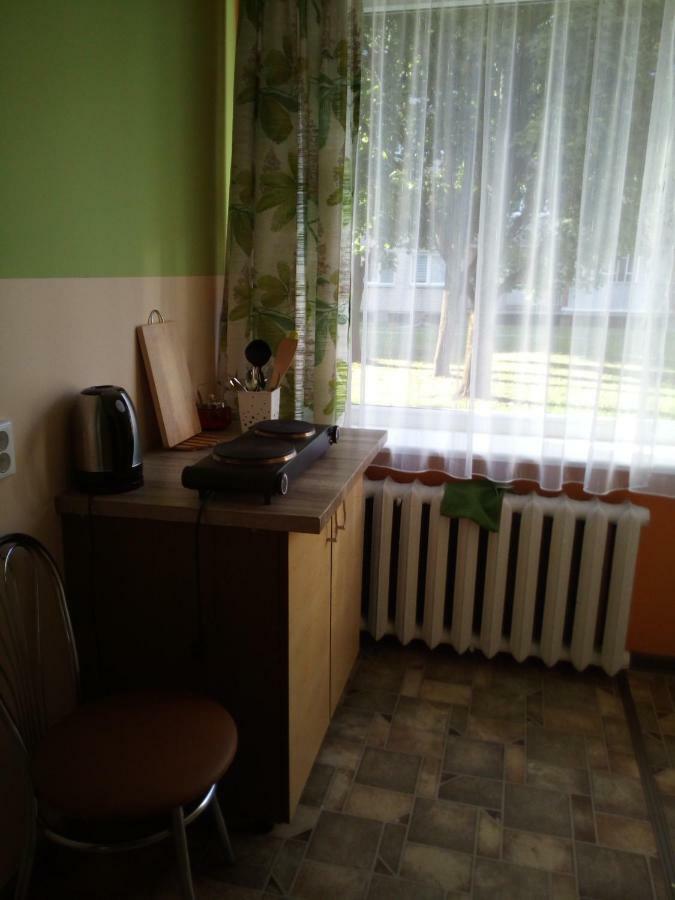 Appartement Anykstuko Butas à Anykščiai Extérieur photo